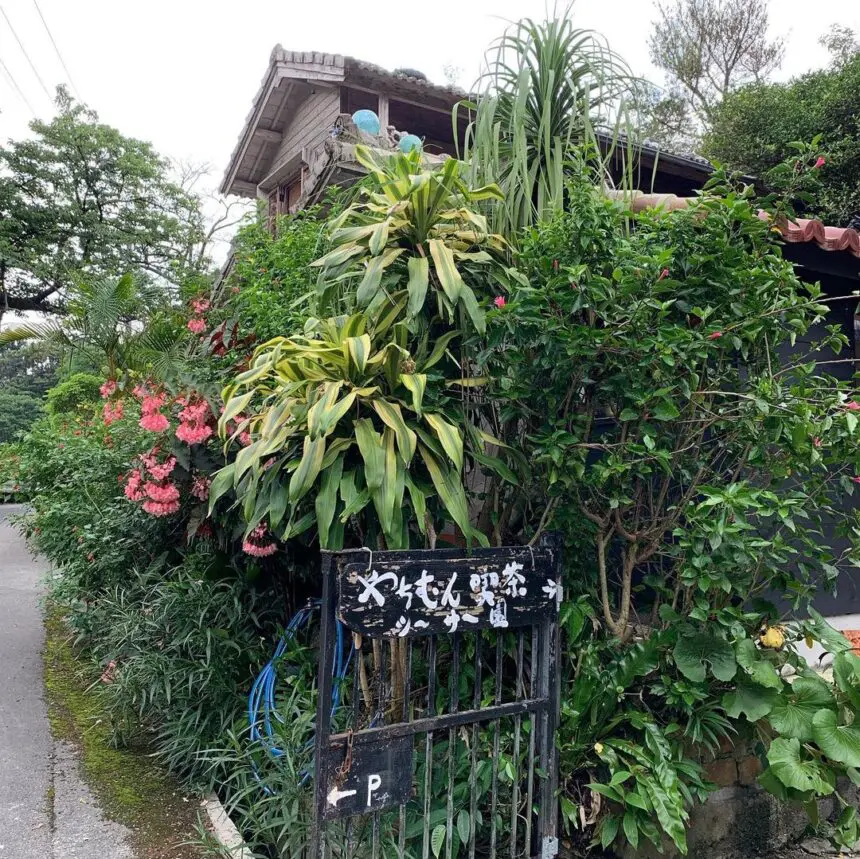 やんばるの森に癒され屋根からはシーサーが見守る趣のある古民家カフェ やちむん喫茶シーサー園 沖縄県国頭郡本部町