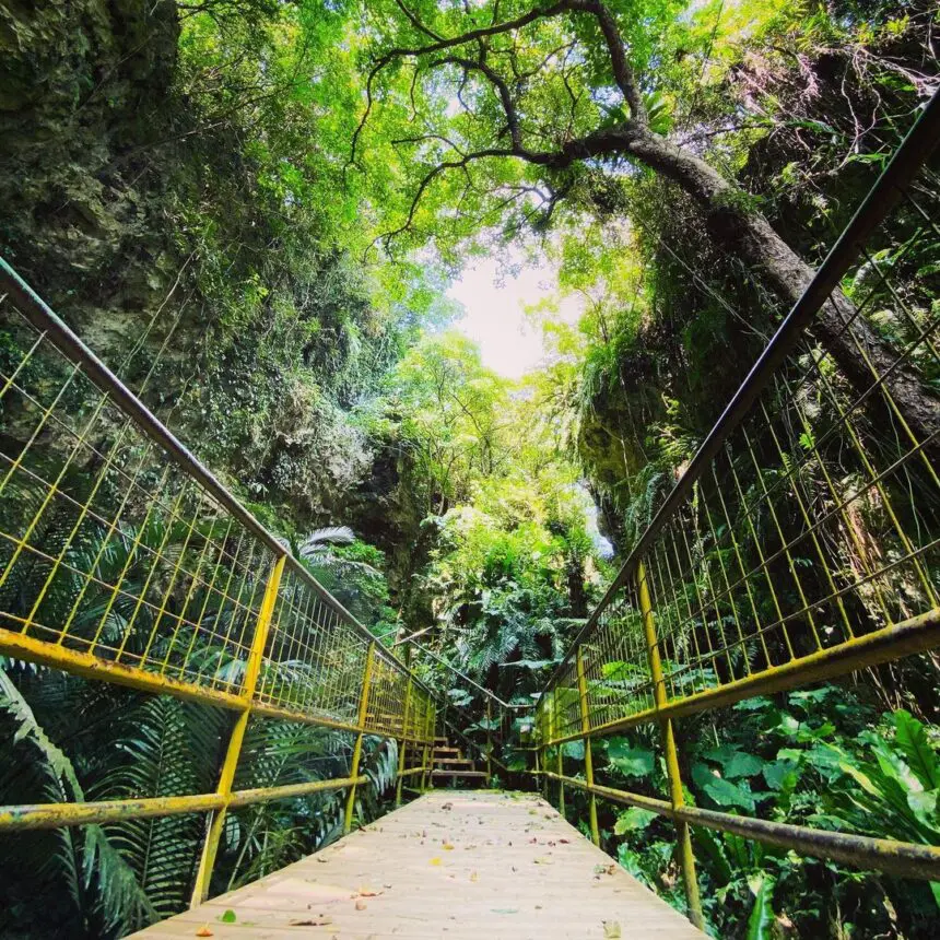 自然の神秘に癒される太古の洞窟カフェ ガンガラーの谷 ケイブカフェ 沖縄県南城市玉城